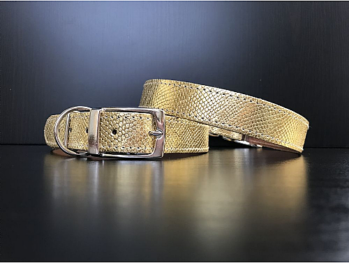 Gold Snake Skin - Leather Dog Collar - Size L